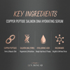 Ingredient spotlight – Copper Peptides, Salmon DNA, Hyaluronic Acid, Niacinamide